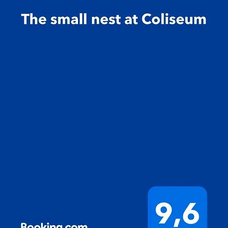 The Small Nest At Coliseum Roma
